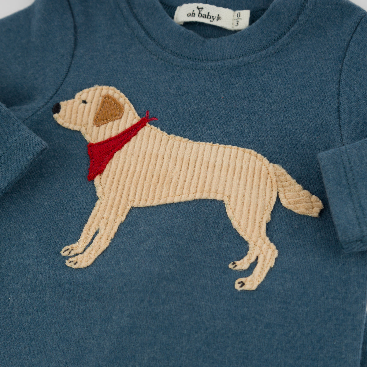 oh baby! Two Piece Set - Lab Bandana - Ocean - Close Up