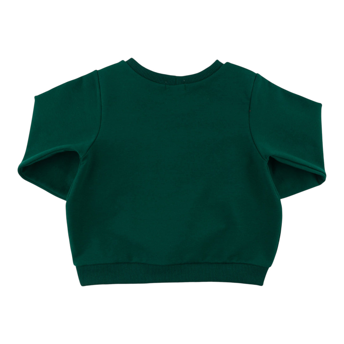 oh baby! Brooklyn Boxy Sweatshirt - English Lab Applique - Forest - back