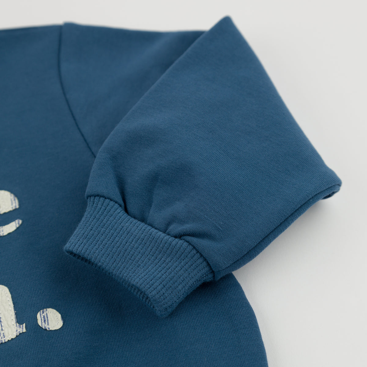 oh baby! Brooklyn Boxy Sweatshirt - "carpe diem." Print - French Blue - Sleeve