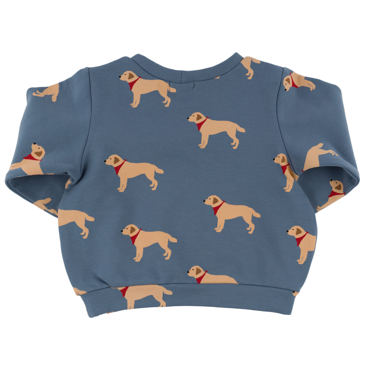 oh baby! Brooklyn Boxy Sweatshirt - Labs Print - Dusty Blue - Back