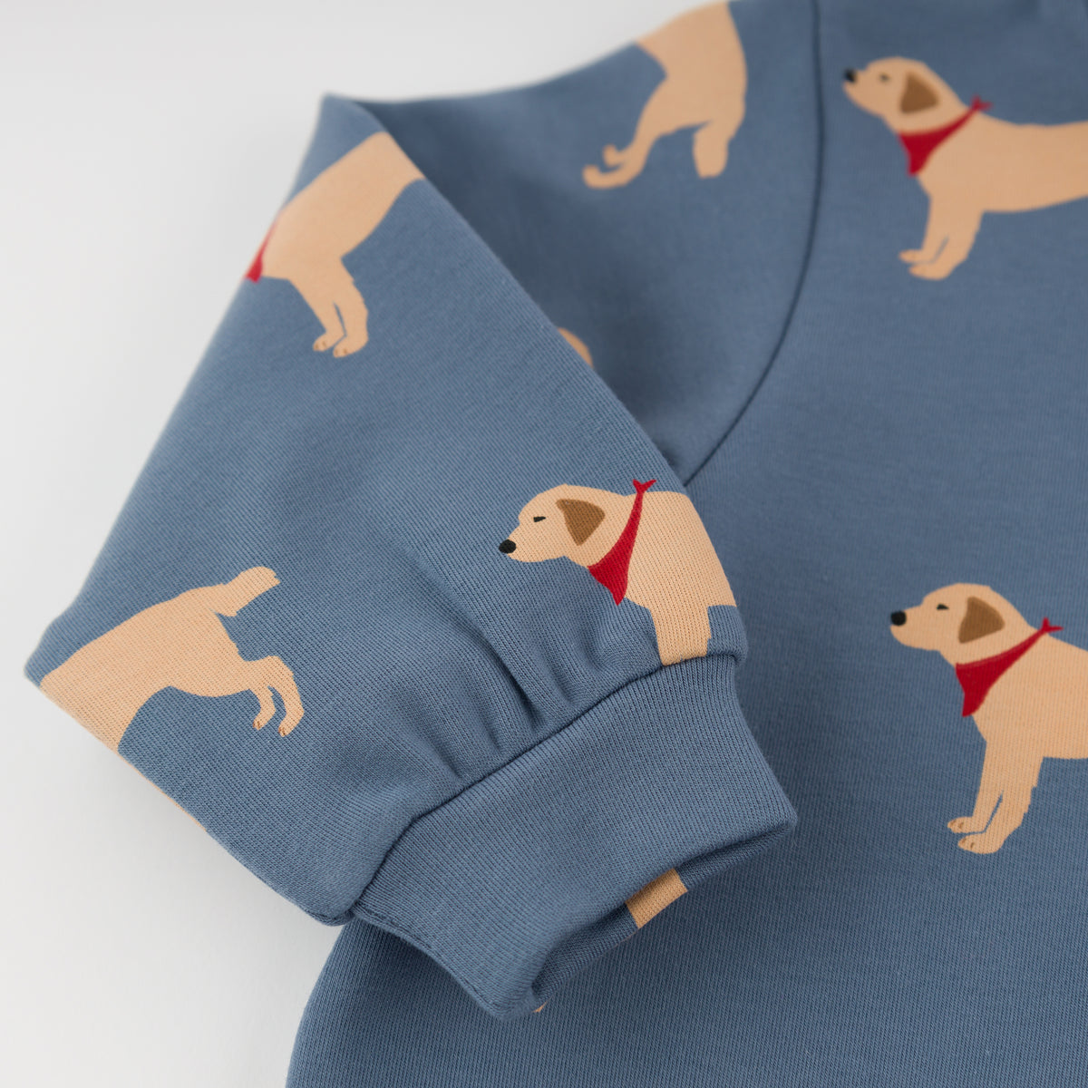 oh baby! Brooklyn Boxy Sweatshirt - Labs Print - Dusty Blue - Sleeve