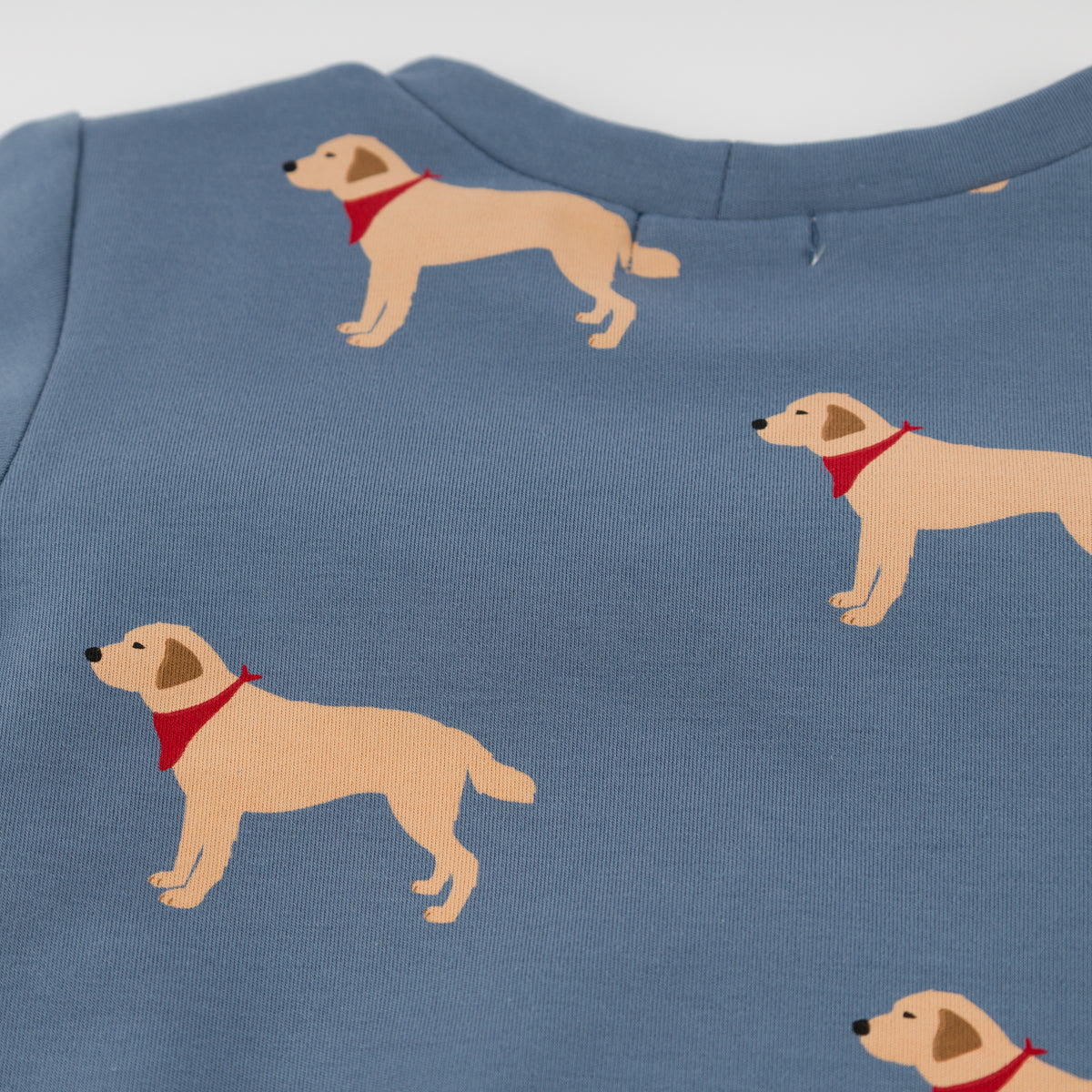 oh baby! Brooklyn Boxy Sweatshirt - Labs Print - Dusty Blue - Close Up