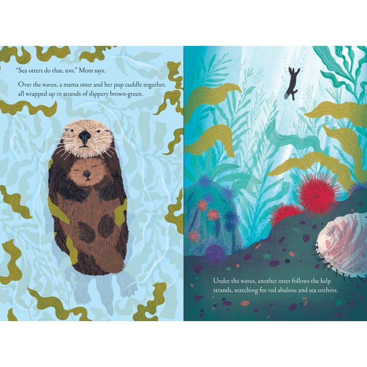 Over and Under the Waves Book - Illustrations