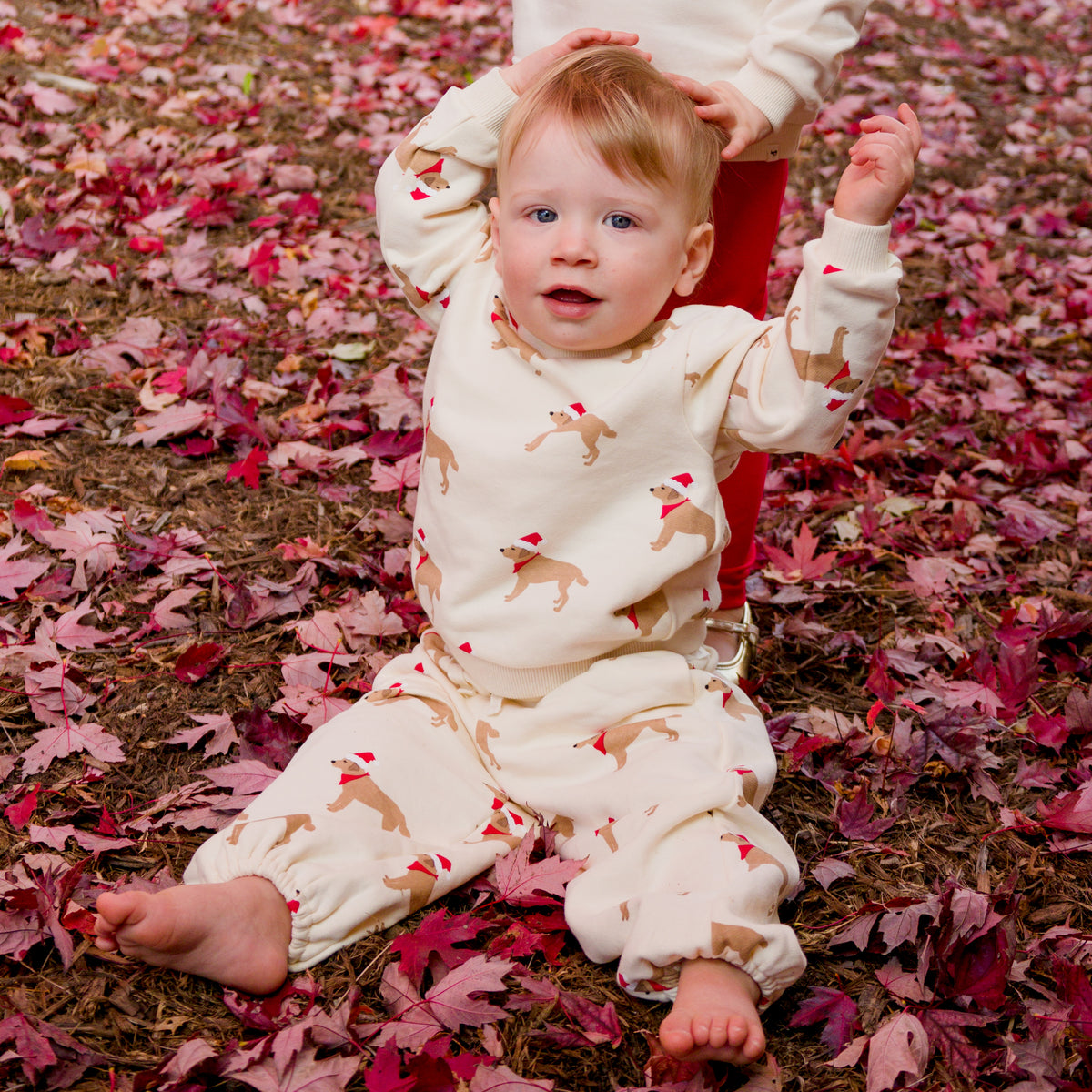 oh baby! Brooklyn Boxy Sweatshirt and Joggers - Santa Labs - Sugar Cookie - Lifestyle