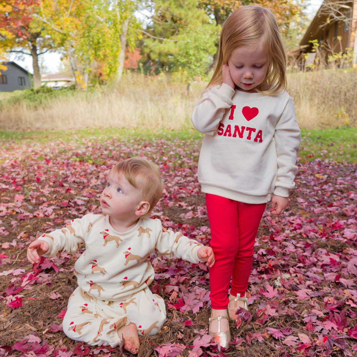 Holiday Collection - I love Santa Sweatshirt, Ruby Leggings, Santa Dogs printed Sweatshirt and Joggers