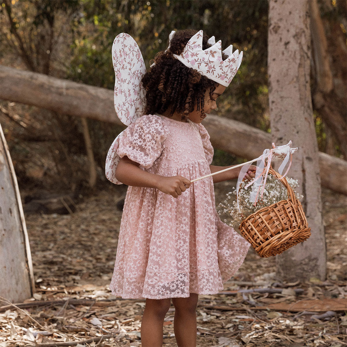 Noralee Luna Dress - Rose Embroidered - oh baby!
