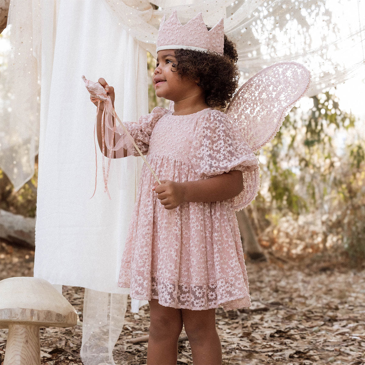 Noralee Luna Dress - Rose Embroidered - oh baby!