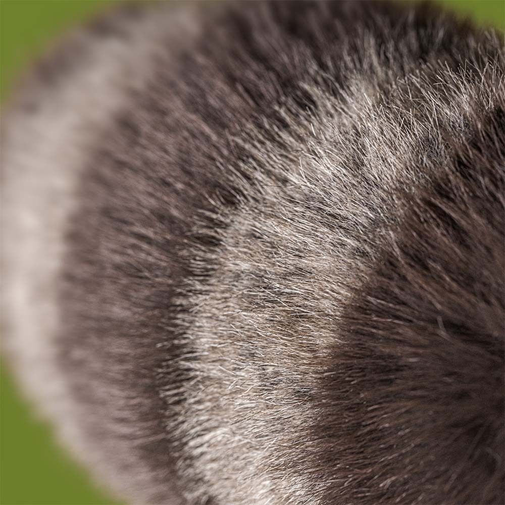 Jellycat Trixiwoo Racoon Stuffed Animal - detail