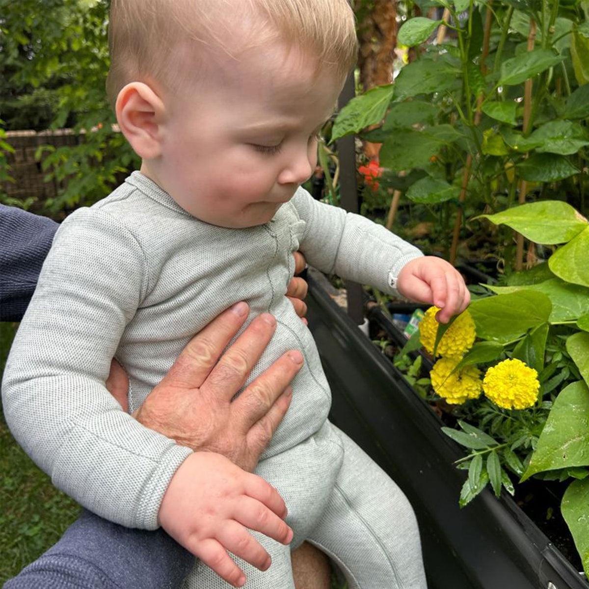 oh baby! Honeycomb Zipper Footie with Pocket - Spruce - oh baby! - lifestyle