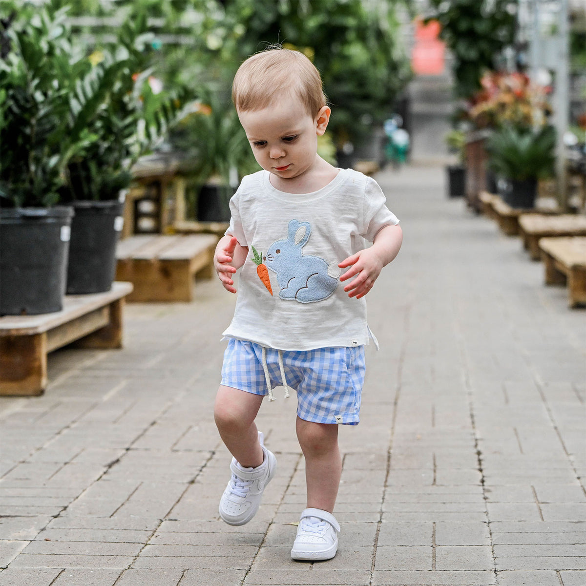 oh baby! Raw Edge Tee - Profile Sky Blue Bunny with Carrot Applique - Oyster with check blue berry jamie shorts - lifestyle