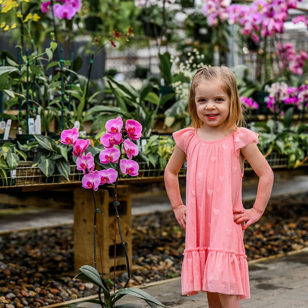 oh baby! Stella Dress - Bobinette Tulle with All Over Hearts - Blush - Lifestyle with Flowers