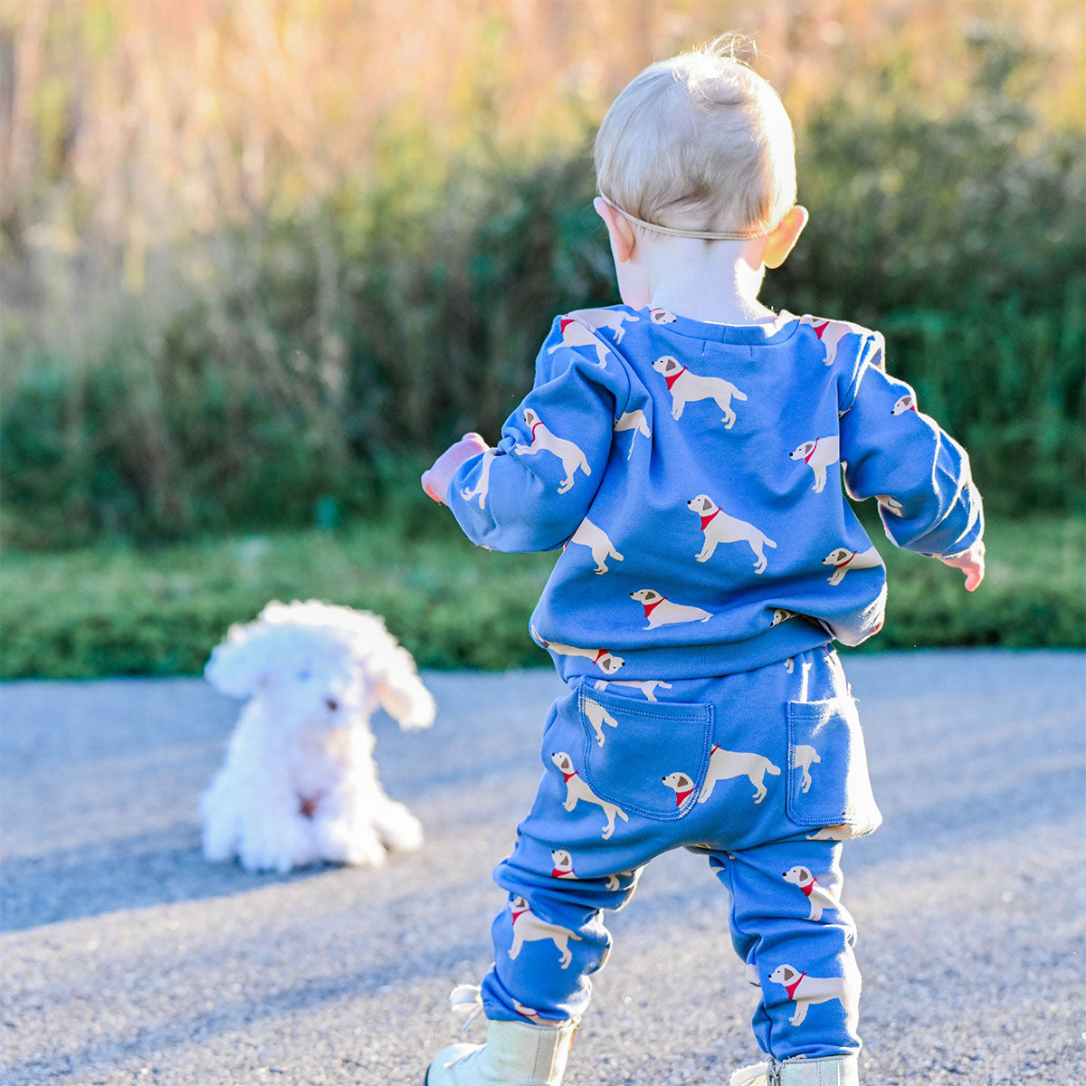 oh baby! Brooklyn Boxy Sweatshirt - Labs Print - Dusty Blue - Back