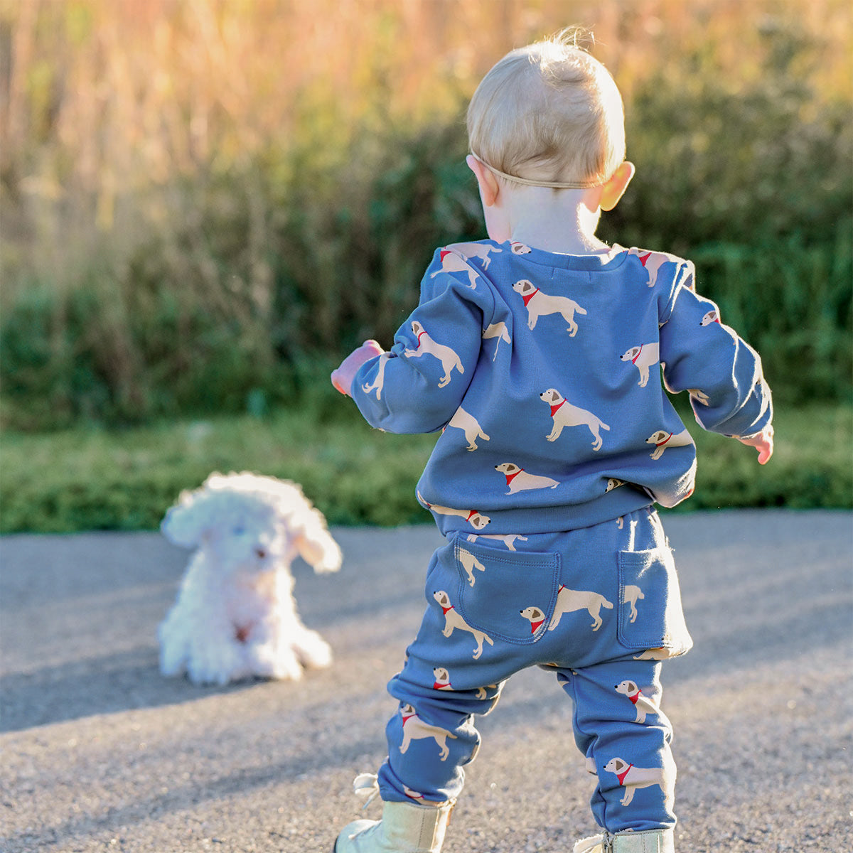 oh baby! Brooklyn Boxy Sweatshirt - Labs Print - Dusty Blue - Back