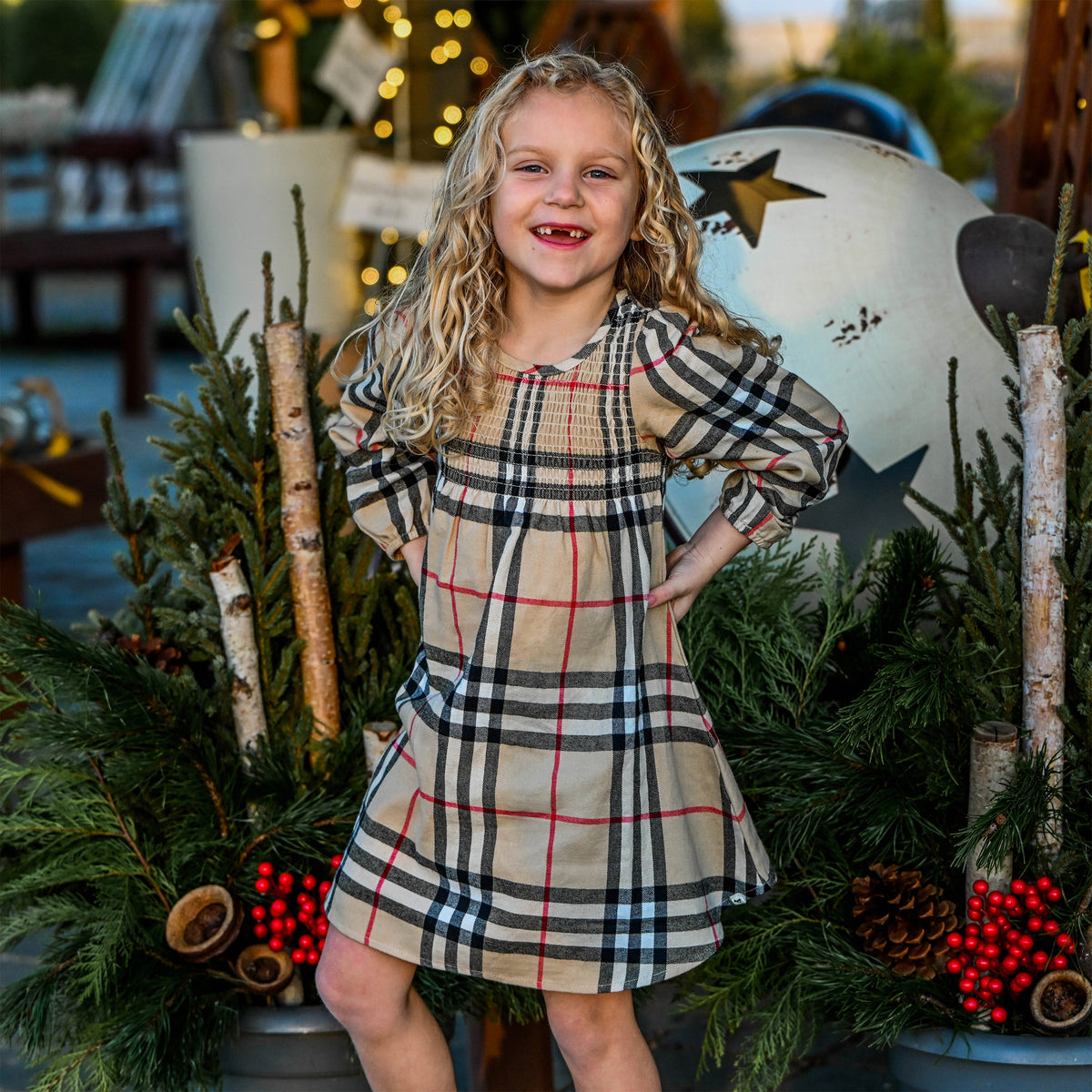 Anna Tartan Plaid Dress
