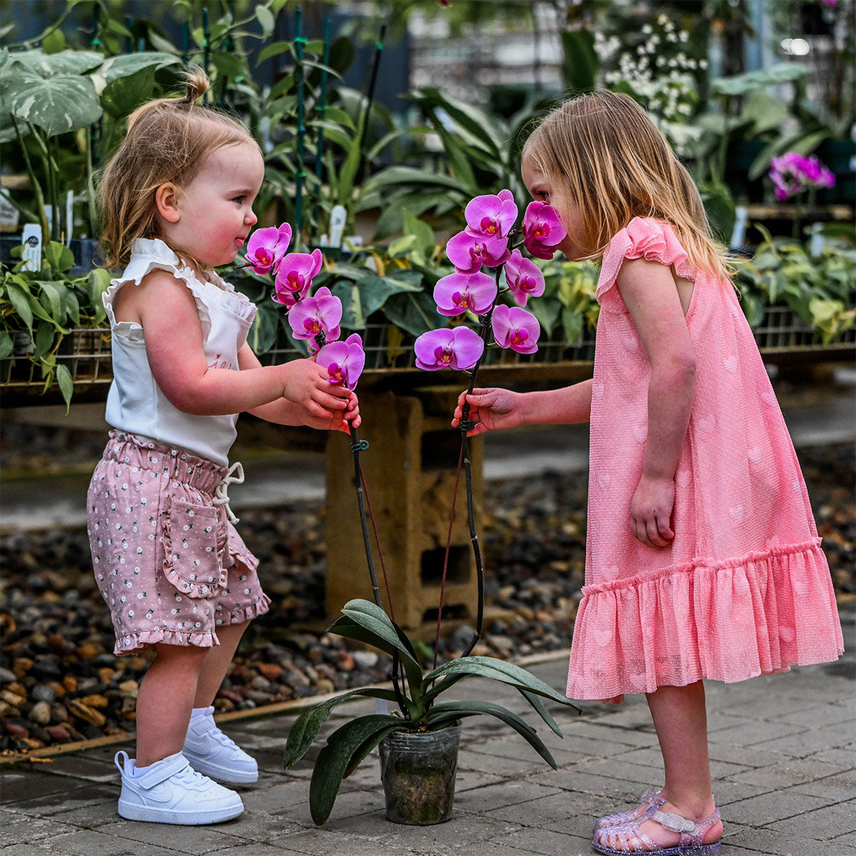 Springtime in Paris - Smelling Flowers
