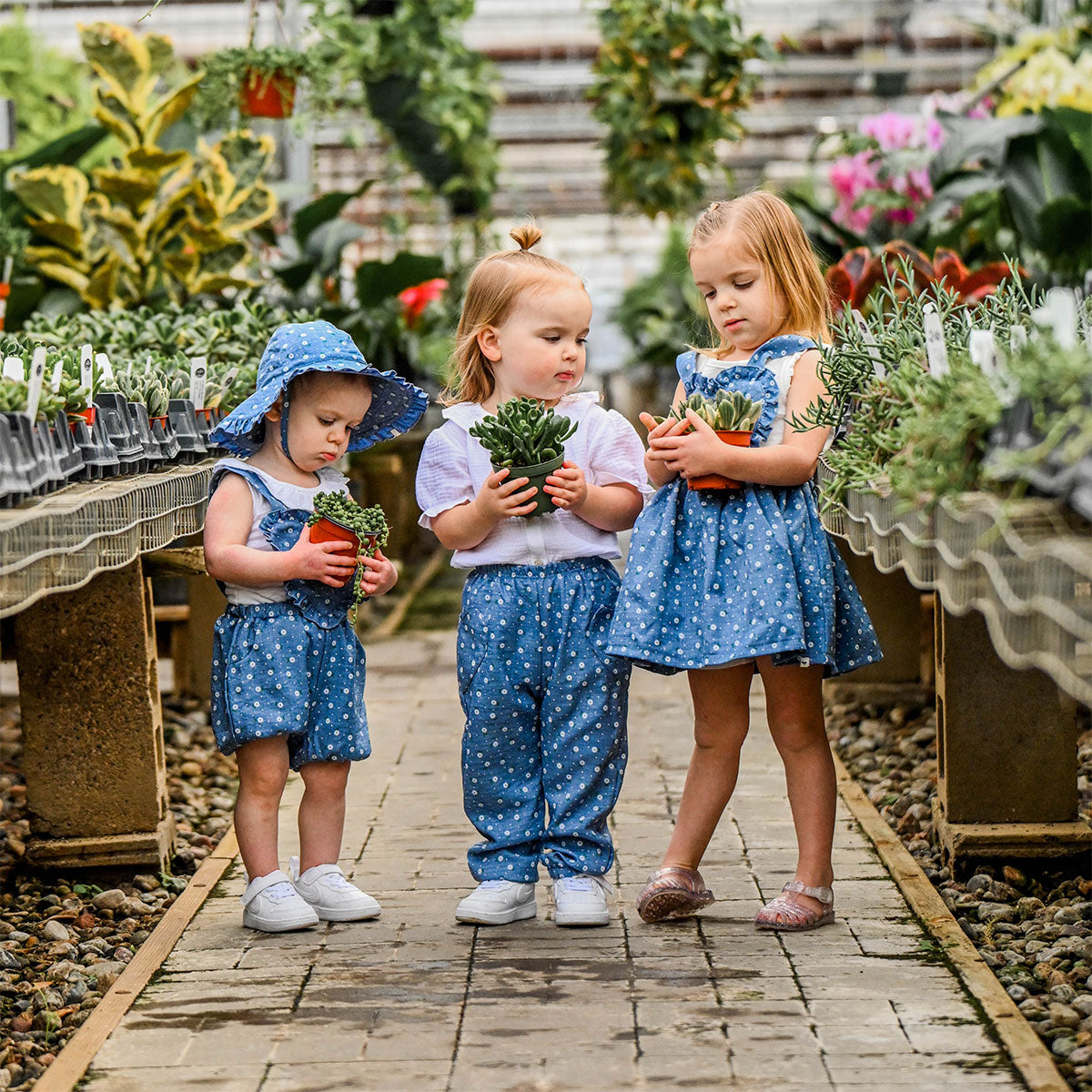 Springtime in Paris - Lifestyle-Sunburst